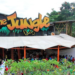 Gaji 2 Bulan-THR Staf Belum Dibayar, Ini Langkah Jungle Land