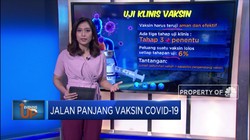 Jalan Panjang Vaksin Covid-19