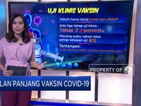 Jalan Panjang Vaksin Covid-19