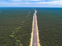 Percepat Proyek Tol Sumatra, Jokowi Suntik HK Rp 7,5 T