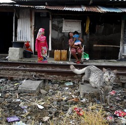 Semua Mulai Khawatir, Separah Apa Sih Inflasi Indonesia?