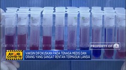 WHO Pastikan Akses yang Adil untuk Vaksin Corona