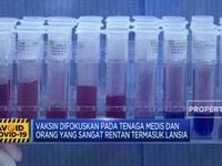 WHO Pastikan Akses yang Adil untuk Vaksin Corona
