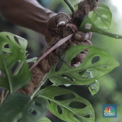Tak Percaya Janda Bolong Sampai Rp 80 Juta, Pejabat Ini Kaget