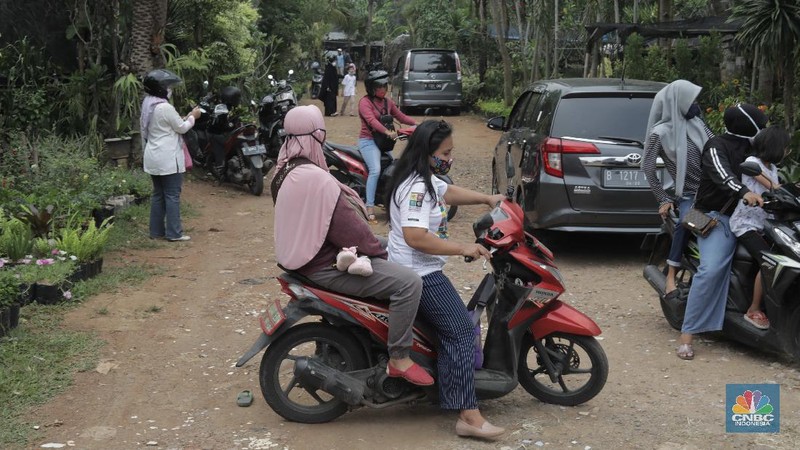 Ilustrassi Penjual Tanaman Hias (CNBC Indonesia/Muhammad Sabki)