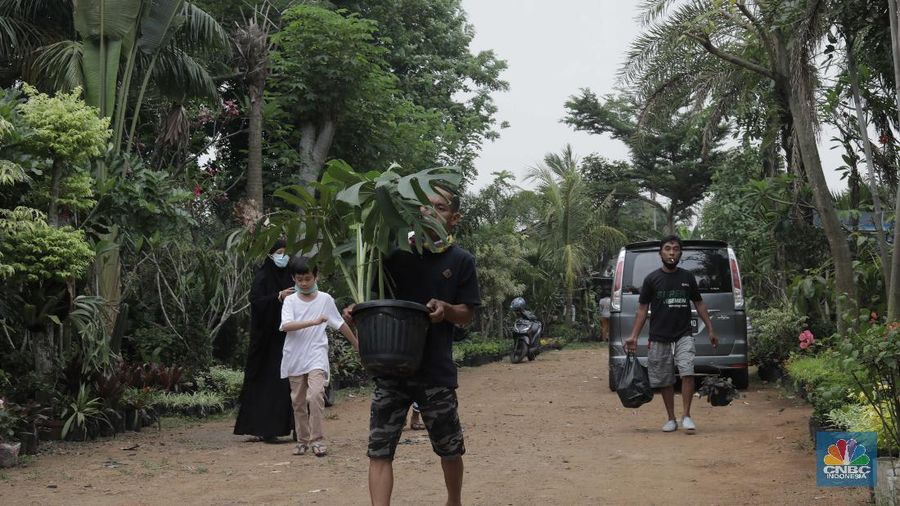 Ilustrassi Penjual Tanaman Hias (CNBC Indonesia/Muhammad Sabki)