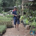 Jangan Salah, Ini 5 Cara Merawat Tanaman Hias Aglonema