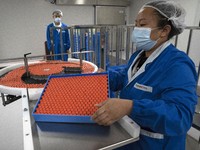 3 Fakta RI Mulai Vaksinasi Covid di November, Sayonara Corona