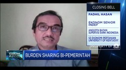 Ekonom: Efektivitas 'Burden Sharing' Tergantung Program PEN