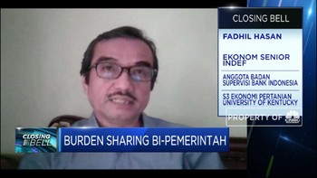 Ekonom: Efektivitas 'Burden Sharing' Tergantung Program PEN