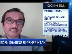 Ekonom: Efektivitas 'Burden Sharing' Tergantung Program PEN