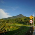 Selain Tol, Ini Sederet Proyek Infrastruktur Jokowi di Manado