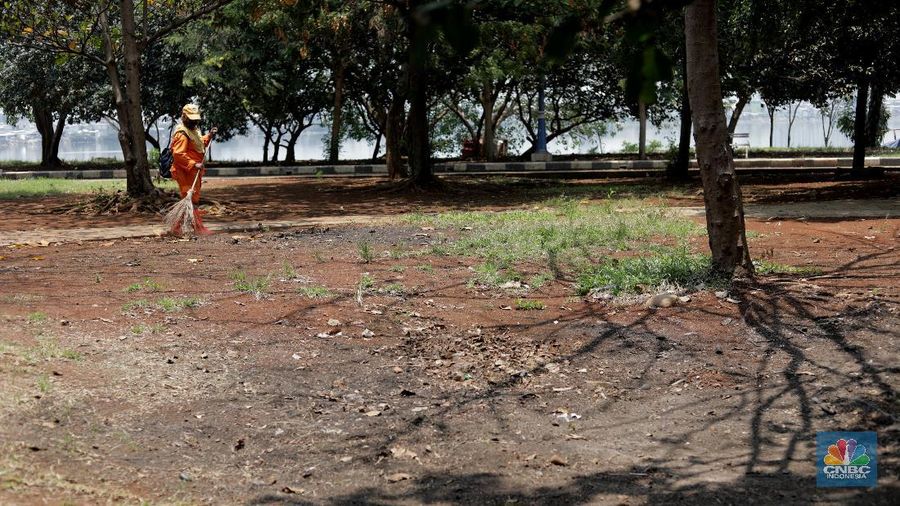 Suasana taman Waduk Pluit Jakarta Utara, Senin 28/9. Pantauan CNBC Indonesia belasan pasukan orange turun menyapu taman. Sebelumnya diberitakan di Detikcom, kondisi Waduk Pluit tampak memprihatinkan Sampah-sampah berserakan dan sejumlah fasilitas di kawasan itu tampak rusak dan tak terawat. Dulu waduk Pluit sempat berubah imagenya dari kawasan kumuh menjadi taman yang menarik di Kawasan Jakarta Utara. Sekarang karena adanya peraturan PSBB yang dilakukan ketat di Jakarta membuat waduk Pluit seperti tak terawat dan sudah rusak. Pohon-pohon kering banyak berserakan di tanah. Aktifitas pengerukan lumpur juga terlihat untuk mengantisipasi banjir.   (CNBC Indonesia/ Muhammad Sabki)