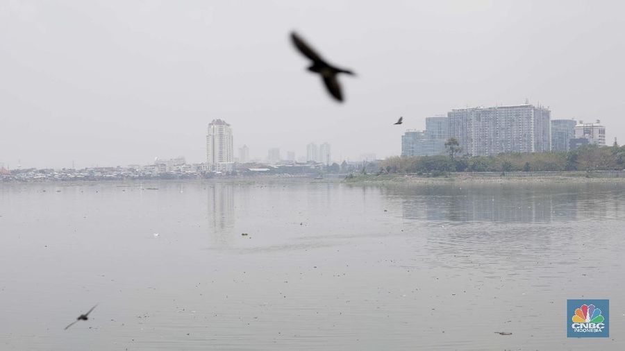 Suasana taman Waduk Pluit Jakarta Utara, Senin 28/9. Pantauan CNBC Indonesia belasan pasukan orange turun menyapu taman. Sebelumnya diberitakan di Detikcom, kondisi Waduk Pluit tampak memprihatinkan Sampah-sampah berserakan dan sejumlah fasilitas di kawasan itu tampak rusak dan tak terawat. Dulu waduk Pluit sempat berubah imagenya dari kawasan kumuh menjadi taman yang menarik di Kawasan Jakarta Utara. Sekarang karena adanya peraturan PSBB yang dilakukan ketat di Jakarta membuat waduk Pluit seperti tak terawat dan sudah rusak. Pohon-pohon kering banyak berserakan di tanah. Aktifitas pengerukan lumpur juga terlihat untuk mengantisipasi banjir.   (CNBC Indonesia/ Muhammad Sabki)
