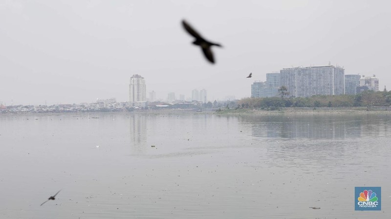 Suasana taman Waduk Pluit Jakarta Utara, Senin 28/9. Pantauan CNBC Indonesia belasan pasukan orange turun menyapu taman. Sebelumnya diberitakan di Detikcom, kondisi Waduk Pluit tampak memprihatinkan Sampah-sampah berserakan dan sejumlah fasilitas di kawasan itu tampak rusak dan tak terawat. Dulu waduk Pluit sempat berubah imagenya dari kawasan kumuh menjadi taman yang menarik di Kawasan Jakarta Utara. Sekarang karena adanya peraturan PSBB yang dilakukan ketat di Jakarta membuat waduk Pluit seperti tak terawat dan sudah rusak. Pohon-pohon kering banyak berserakan di tanah. Aktifitas pengerukan lumpur juga terlihat untuk mengantisipasi banjir.   (CNBC Indonesia/ Muhammad Sabki)
