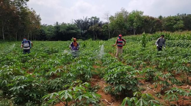 Lawan Vietnam-Malaysia-Thailand, Ini Jurus RI Pikat Investor Dunia