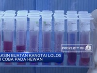 China Punya 5 Kandidat Vaksin Covid-19