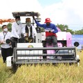 Pagu Anggaran Kementan 2022 Rp14,45 T, Buat Apa Saja Sih?
