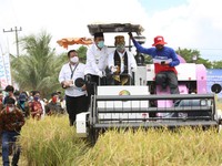 Pagu Anggaran Kementan 2022 Rp14,45 T, Buat Apa Saja Sih?