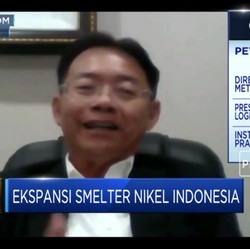 Pembiayaan, Tantangan Ekspansi Industri Smelter RI