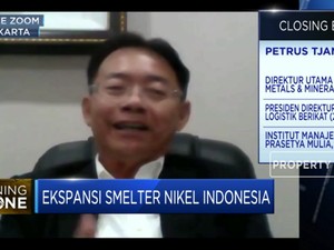 Pembiayaan, Tantangan Ekspansi Industri Smelter RI