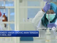 Bio Farma Klaim Vaksin Sinovac Tak Timbulkan Efek Samping