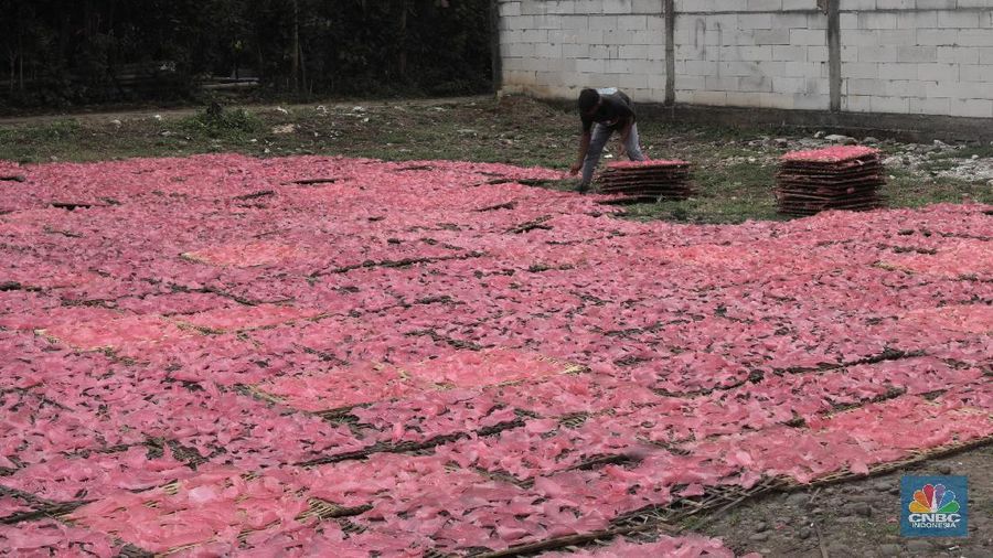 Pekerja mengangkat kerupuk merah yang dikeringkan di kawasan Karadenan Cibinong kab Bogor, Jawa Barat, Kamis, 1/10. Dalam satu minggu industri rumahan tersebut mampu memproduksi sebanyak lima kwintal kerupuk dengan harga jual Rp15 ribu per kilo.  Kerupuk merah ini dijual hingga ke berbagai wilayah di Jabodetabek. Pengusaha mengaku produksi kerupuk menurun hingga 30 persen akibat daya beli masyarakat turun pada pandemi COVID-19. Badan Pusat Statistik (BPS) mengumumkan telah terjadi deflasi selama tiga bulan berturut-turut, yaitu sebesar 0,10% pada Juli, 0,05% pada Agustus, dan 0,05% di September 2020. Kepala BPS Suhariyanto mengatakan, terjadinya deflasi selama dua bulan berturut-turut menandakan daya beli masyarakat atau tingkat konsumsi rumah tangga melemah dan butuh waktu untuk kembali ke titik normal. 