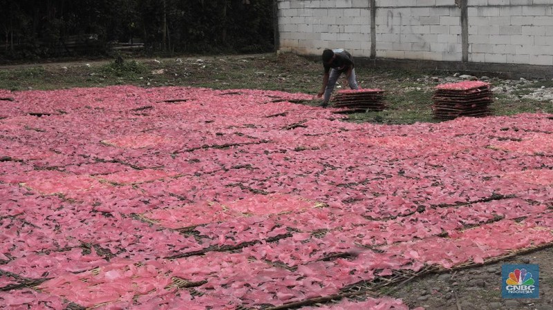Pekerja mengangkat kerupuk merah yang dikeringkan di kawasan Karadenan Cibinong kab Bogor, Jawa Barat, Kamis, 1/10. Dalam satu minggu industri rumahan tersebut mampu memproduksi sebanyak lima kwintal kerupuk dengan harga jual Rp15 ribu per kilo.  Kerupuk merah ini dijual hingga ke berbagai wilayah di Jabodetabek. Pengusaha mengaku produksi kerupuk menurun hingga 30 persen akibat daya beli masyarakat turun pada pandemi COVID-19. Badan Pusat Statistik (BPS) mengumumkan telah terjadi deflasi selama tiga bulan berturut-turut, yaitu sebesar 0,10% pada Juli, 0,05% pada Agustus, dan 0,05% di September 2020. Kepala BPS Suhariyanto mengatakan, terjadinya deflasi selama dua bulan berturut-turut menandakan daya beli masyarakat atau tingkat konsumsi rumah tangga melemah dan butuh waktu untuk kembali ke titik normal. 