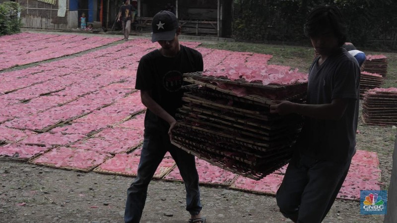 Pekerja mengangkat kerupuk merah yang dikeringkan di kawasan Karadenan Cibinong kab Bogor, Jawa Barat, Kamis, 1/10. Dalam satu minggu industri rumahan tersebut mampu memproduksi sebanyak lima kwintal kerupuk dengan harga jual Rp15 ribu per kilo.  Kerupuk merah ini dijual hingga ke berbagai wilayah di Jabodetabek. Pengusaha mengaku produksi kerupuk menurun hingga 30 persen akibat daya beli masyarakat turun pada pandemi COVID-19. Badan Pusat Statistik (BPS) mengumumkan telah terjadi deflasi selama tiga bulan berturut-turut, yaitu sebesar 0,10% pada Juli, 0,05% pada Agustus, dan 0,05% di September 2020. Kepala BPS Suhariyanto mengatakan, terjadinya deflasi selama dua bulan berturut-turut menandakan daya beli masyarakat atau tingkat konsumsi rumah tangga melemah dan butuh waktu untuk kembali ke titik normal. 