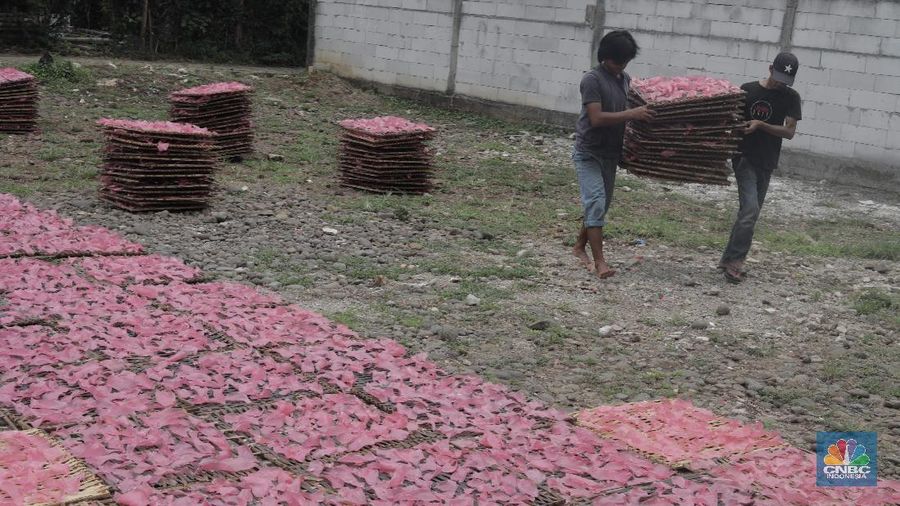 Pekerja mengangkat kerupuk merah yang dikeringkan di kawasan Karadenan Cibinong kab Bogor, Jawa Barat, Kamis, 1/10. Dalam satu minggu industri rumahan tersebut mampu memproduksi sebanyak lima kwintal kerupuk dengan harga jual Rp15 ribu per kilo.  Kerupuk merah ini dijual hingga ke berbagai wilayah di Jabodetabek. Pengusaha mengaku produksi kerupuk menurun hingga 30 persen akibat daya beli masyarakat turun pada pandemi COVID-19. Badan Pusat Statistik (BPS) mengumumkan telah terjadi deflasi selama tiga bulan berturut-turut, yaitu sebesar 0,10% pada Juli, 0,05% pada Agustus, dan 0,05% di September 2020. Kepala BPS Suhariyanto mengatakan, terjadinya deflasi selama dua bulan berturut-turut menandakan daya beli masyarakat atau tingkat konsumsi rumah tangga melemah dan butuh waktu untuk kembali ke titik normal. 