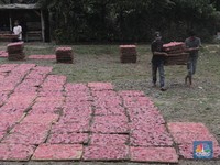 Industri Rumahan Kerupuk Merah Bertahan Saat Pandemi Covid-19