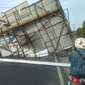 Musim Angin Kencang, Waspadai Pohon & Reklame Roboh