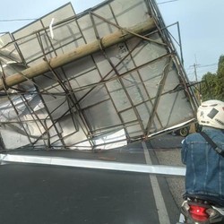 Musim Angin Kencang, Waspadai Pohon & Reklame Roboh