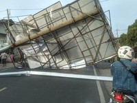 Musim Angin Kencang, Waspadai Pohon & Reklame Roboh