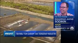 Garam Petani Lokal Tak Terserap Industri, Ini Keluhan APGRI