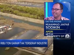 Garam Petani Lokal Tak Terserap Industri, Ini Keluhan APGRI