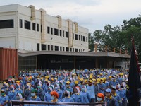 Penjelasan Lengkap Luhut Soal Buruh Sehari WFO, Sehari WFH