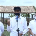 Ragam Pangan Food Estate Jokowi, dari Kentang ke Singkong