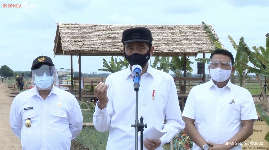Keterangan Pers Presiden RI Setelah Meninjau Food Estate, Pulang Pisau, 8 Oktober 2020, (Tangkapan layar youtube SEKPRES RI)