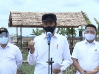 Ragam Pangan Food Estate Jokowi, dari Kentang ke Singkong