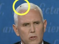 Heboh! Lalat Nempel di Kepala Mike Pence di Debat Pilpres AS