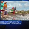 Menperin Paparkan Urgensi Substitusi Impor Garam Industri