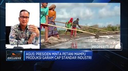 Menperin Paparkan Urgensi Substitusi Impor Garam Industri