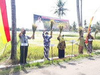 Panen Padi Masa Tanam Ketiga di Gunungkidul Lebih Optimal