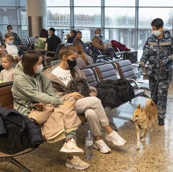 Gaya Putin Lawan Covid, Sebar Anjing Pendeteksi Corona