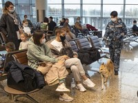 Gaya Putin Lawan Covid, Sebar Anjing Pendeteksi Corona