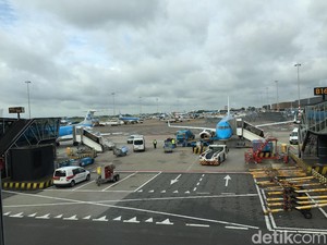 Tikus Berkeliaran di Kabin, Penerbangan KLM dari Amsterdam ke Karibia Dibatalkan