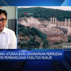 Kalau Putuskan Go Nuklir Sekarang, RI Bisa Punya PLTN di 2030