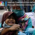 Vaksin Tuberkulosis Beneran Manjur Perangi Covid-19?