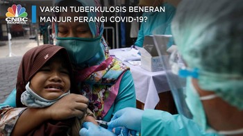 Vaksin Tuberkulosis Beneran Manjur Perangi Covid-19?